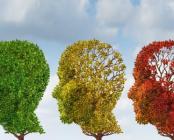 Produits naturels pour la maladie d'alzheimer, l'autisme, l'hyperactivité ou le Brun out - Comportement - Easynutrition.eu