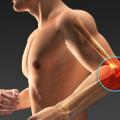 Tendo Easy Cream Tendons fatigués, tennis ou golf elbow, entorse - Tendo Easy Cream - Easynutrition